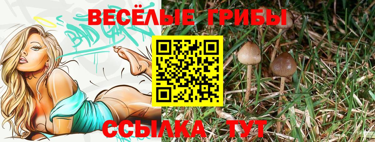 купить   Вход с VPN  Бугуруслан  Псилоцибиновые грибы прущие грибы 